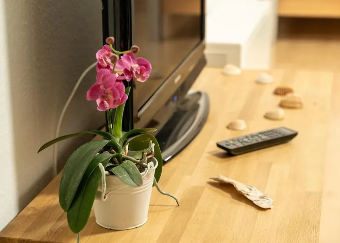 Daire Schafbergblick